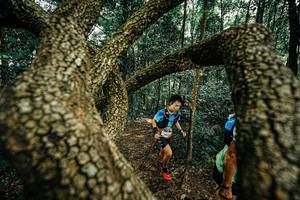 BIB: 
                            <button type="button" onclick="openModal(25393167)" class="btn btn-primary btn-sm float-right btn-popup" data-toggle="modal" data-target=".modal-high-quality">
                        <i class="fas fa-shopping-cart"></i> Add to Cart
                    </button>
                                            <button type="button" onclick="isThisMe(25393167, true)" class="btn btn-success btn-sm float-right btn-popup btn-isme hidden" data-toggle="tooltip" data-placement="bottom" title="นี่คือรูปของคุณใช่ไหม คลิกที่นี่เพื่อเอาเข้าอัลบั้ม">
                        <i class="fas fa-plus"></i> Add to album
                    </button>
                    <button type="button" onclick="isThisMe(25393167, false)" class="btn btn-warning btn-sm float-right btn-popup btn-isnotme hidden">
                        <i class="fas fa-ban"></i> Remove from album
                    </button>